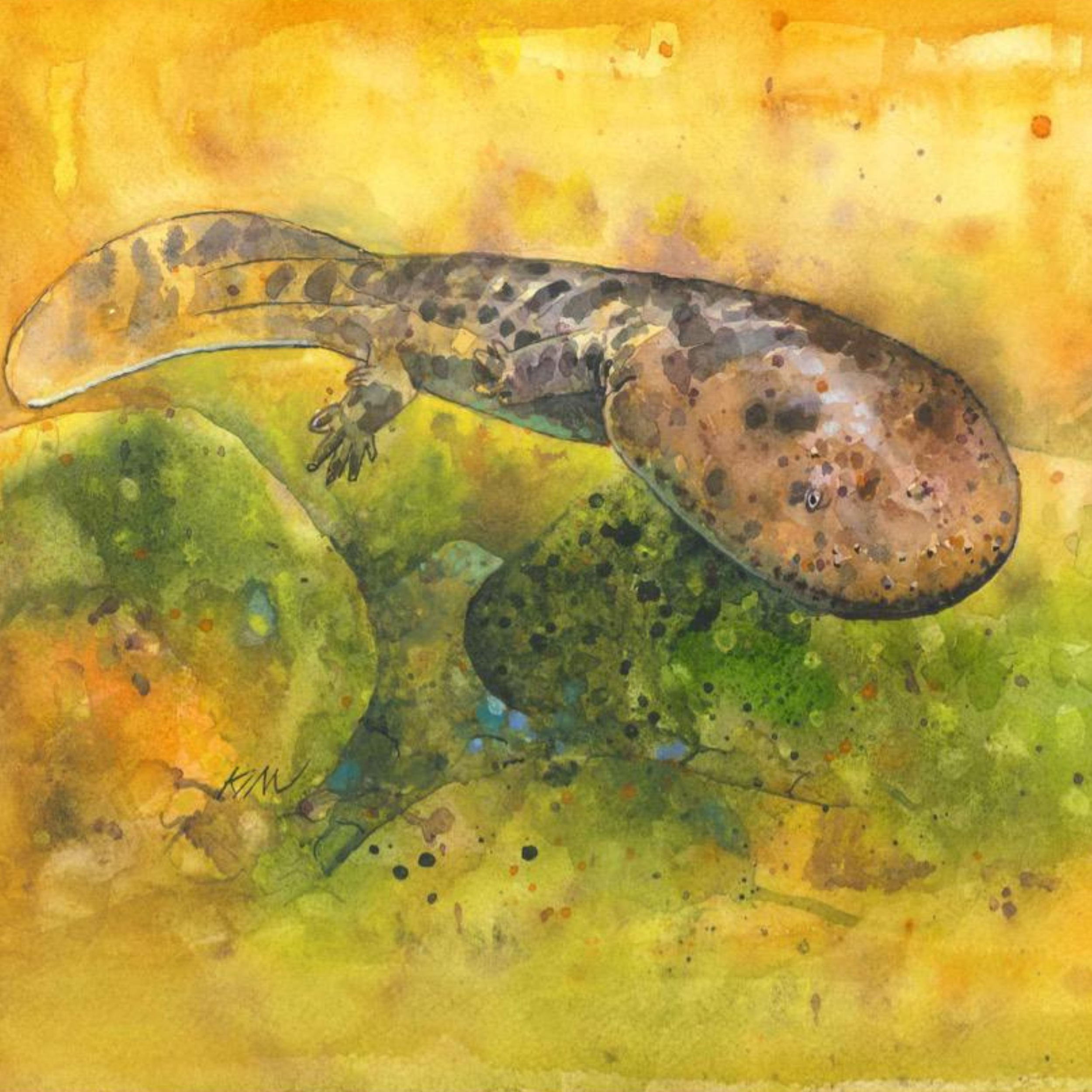 Blog 1 — Sustainable Daisen